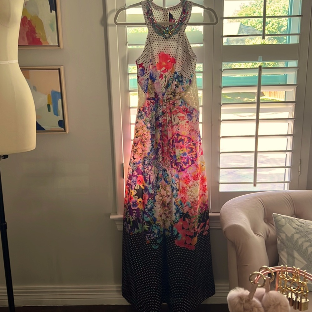STUNNING Ranna Gill Maxi | size 0